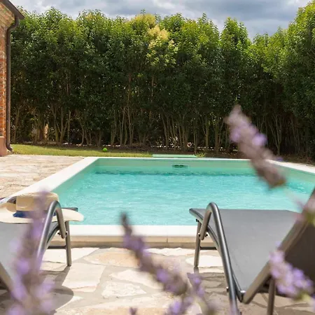 Sunny House With Private Pool Butkovici (Istria)